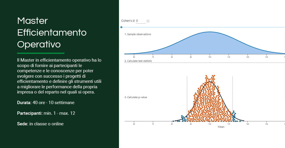 Master Efficientamento Operativo - In Training